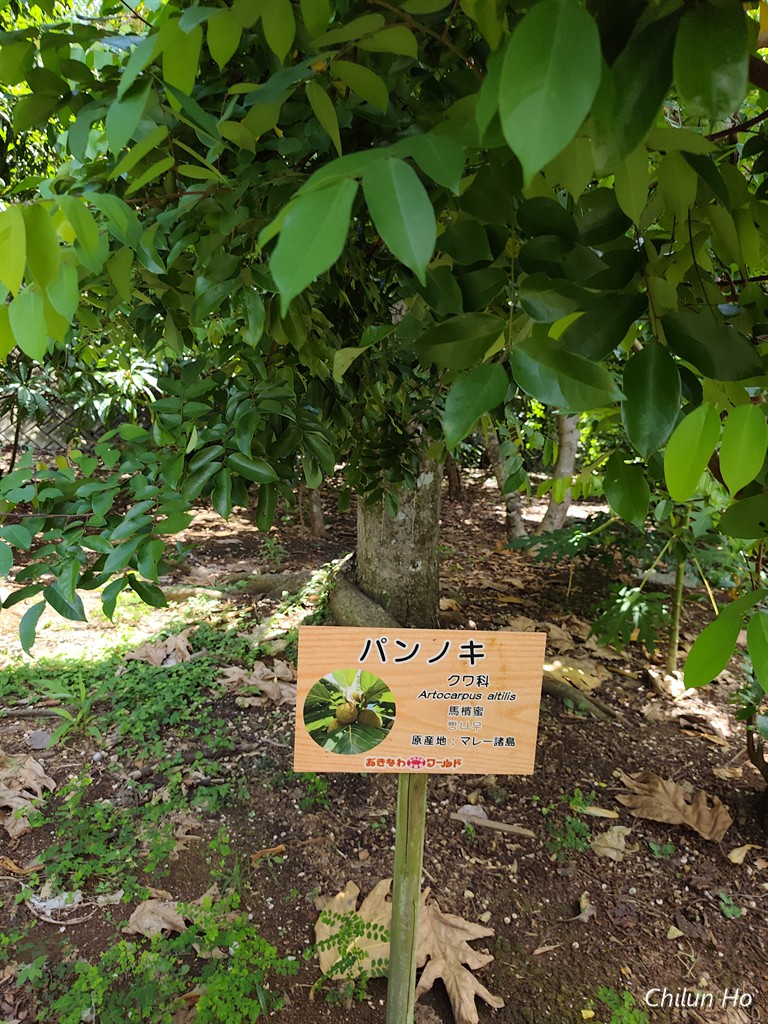 フルーツパーラー